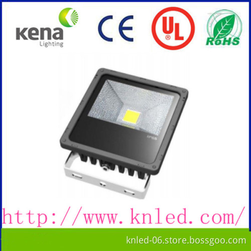 IP65 100w 120w Meanwell driver led flood light